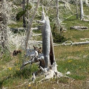 Meet your Posher, Javier